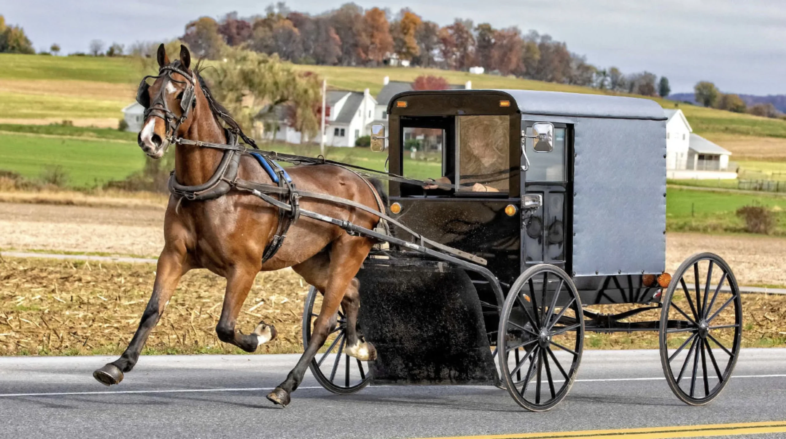 Amish Oil Change Meaning